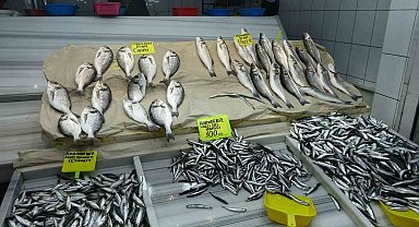 Balıkesir'de fırtına balık fiyatlarını vurdu