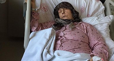 Başıboş köpekler 84 yaşındaki kadını yoğun bakımlık yaptı