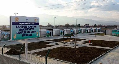 Başkan Akkaya: "Sokak hayvanları için çözüm odaklı adımlar atıyoruz"