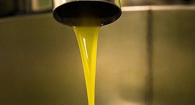 Başkan Çondur zeytinyağında taklit ve tağşişe dikkat çekti