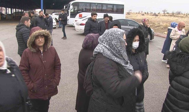 Başkent'te başıboş köpek dehşeti