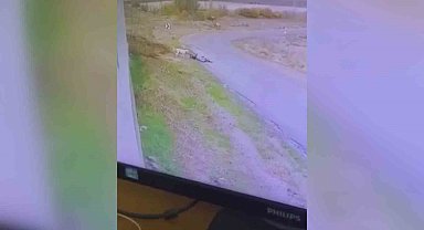 Başkentte bisiklet süren çocuğa başıboş köpek saldırdı