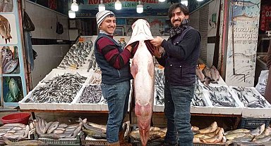 Batman'da balıkçının oltasına takılan balık dana fiyatına satıldı