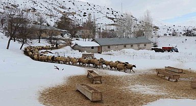Besicilerin kış mesaisi başladı