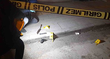 Bilecik'te 2 kardeş az daha birbirlerini öldürecekti