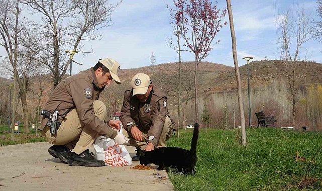Bingöl'de HAYDİ ekipleri can dostları unutmuyor