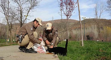 Bingöl'de HAYDİ ekipleri can dostları unutmuyor