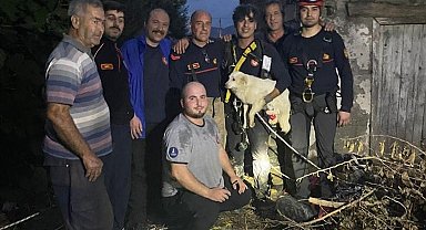 Bir aydır kayıp olan köpek kuyuda bulundu