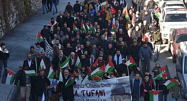 Bitlis'te 'Filistin İçin Yürüyoruz' etkinliği düzenlendi