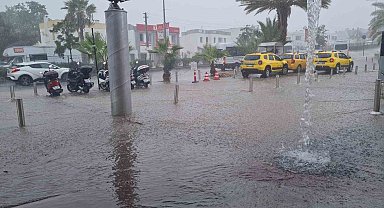 Bodrum'da Kasım bereketi
