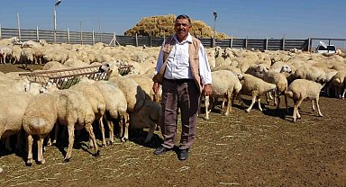 Bu çadır sayesinde hayvan sayısını 2 katına çıkardı