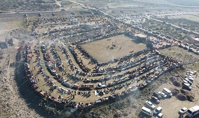 Buharkent'te deve güreşi hazırlıkları tamamlandı