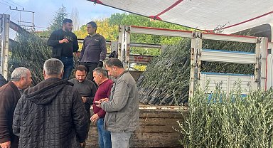 Buldan'da 17 bin fidan toprakla buluşacak