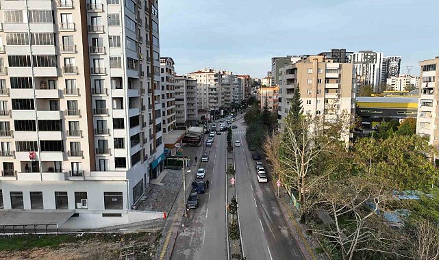 Bursa'da manolya ağaçları caddeleri süsledi