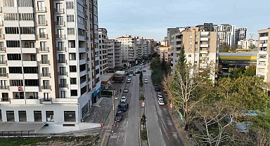 Bursa'da manolya ağaçları caddeleri süsledi