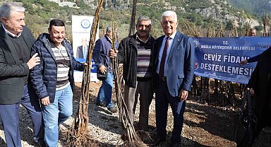 Büyükşehir'den üreticilere 151 bin 780 fidan desteği