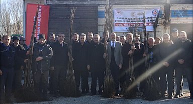 Çiftçilere 12 bin 500 adet ceviz fidanı verildi