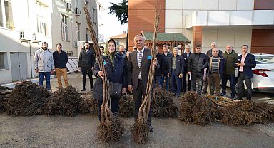 Çiftçiye 5 bin ceviz fidanı desteği