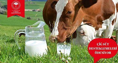 Çiğ süt destek ödemeleri başladı