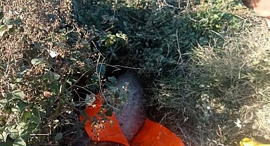 Çukura düşen eşeği, itfaiye ekipleri kurtardı