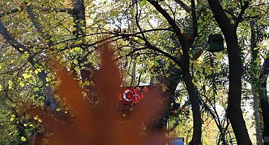 Dağılcak Tabiat Parkı'nda asırlık çınarlar görsel şölen oluşturdu