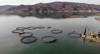 Denizi olmayan kentten somon ihracatı