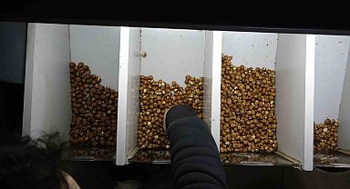 Dereköylü: "Fındık bölgesiyiz ancak halkımız fındığın randımanı hakkında yeterli bilgiye sahip değil"