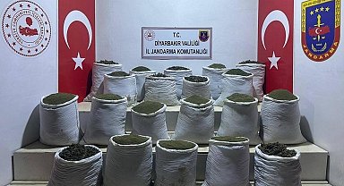 Diyarbakır'da 1 ton 148 kilogram esrar ve 606 kök kenevir bitkisi ele geçirildi