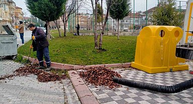 Dökülen yapraklar titizlikle toplanıyor