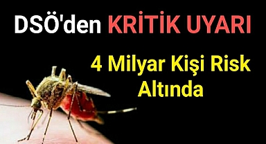 DSÖ’den dang humması uyarısı: 4 milyar kişi risk altında