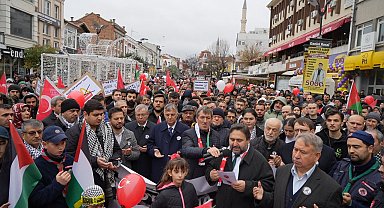 Edirne'de 'Özgür Filistin Yürüyüşü' düzenlendi