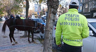Edirne'de ilginç olay: Başıboş at 5 araca hasar verdi
