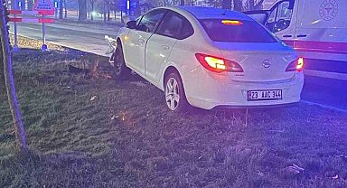 Elazığ'da otomobil aydınlatma direğine çarptı : 1 yaralı
