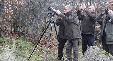 Elazığ'da yaban keçisi envanter çalışması yapıldı