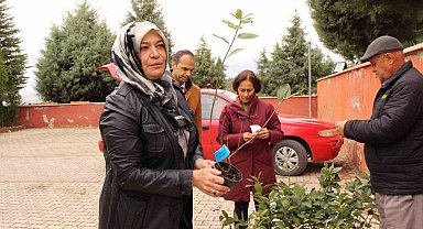 Elmalı'da bin 300 aronya fidanı dağıtıldı