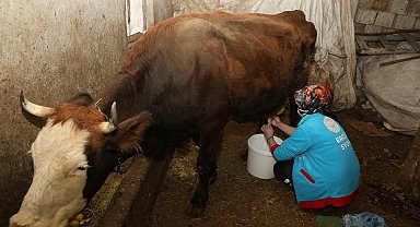 Erciş'te yaşlı çiftin ineklerini Vefa Ekipleri sağdı