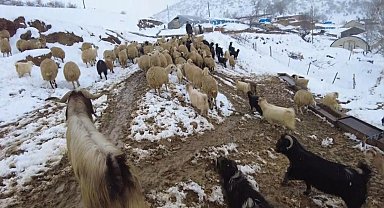 Erzincan'ın köylerinde kış mesaisi başladı