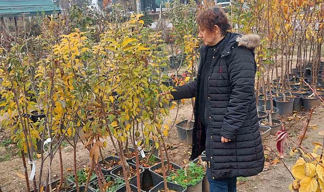Eskişehir'de fide ve fidan satış yerleri denetleniyor