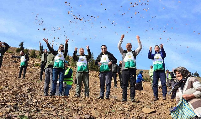 Feke'de 200 hektar alan sedir tohumu ile buluştu