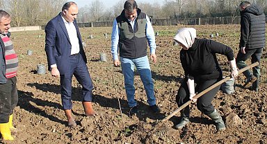 Fındıkta verim ve kalite artıracak proje