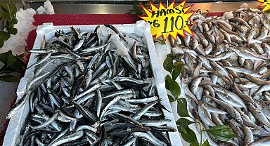 Fırtınanın ardından hamsi 110 liraya yükseldi