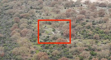 Garip çobanın kayıp koyunlarını jandarma dronu buldu