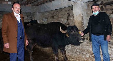 Giresun'da 273 manda işletmesine 5 milyon 295 bin 250 TL destek ödemesi yapıldı