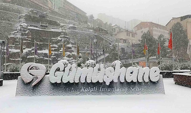 Gümüşhane'de kar yağışı etkili oldu