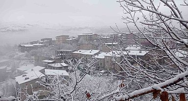 Hakkari'de kar yağışı ve sis