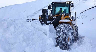 Hakkari'de kardan kapanan yollar tek tek açılıyor