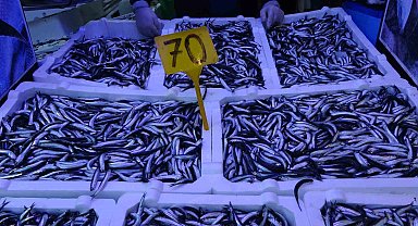 Hamsi avı düşüşe geçti, fiyatı ikiye katlandı