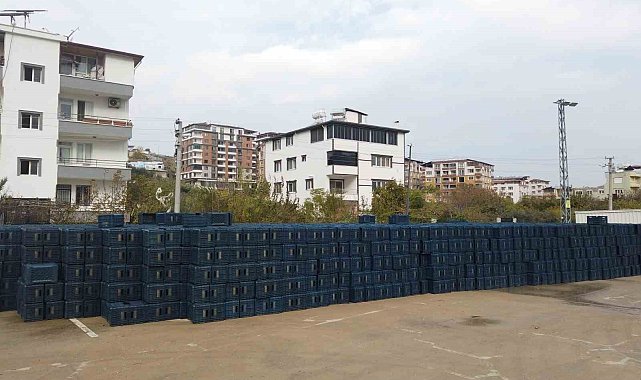 Hatay Büyükşehir Belediyesi'nden çiftçiye destek