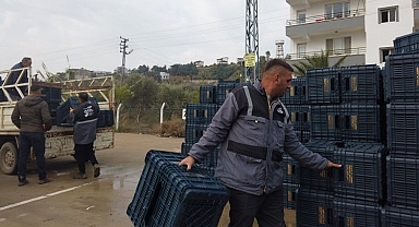 Hataylı zeytin üreticisine sandık dağıtımı
