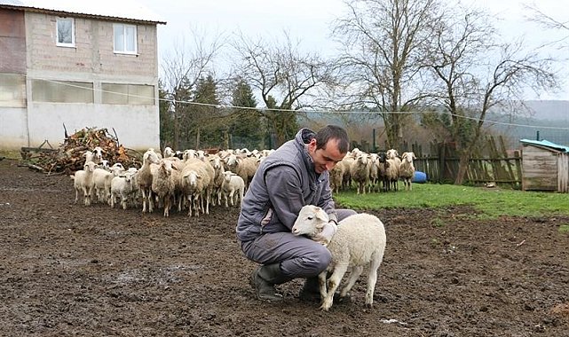 Hayvan başına destek ödemesi yüzde yüz artırıldı